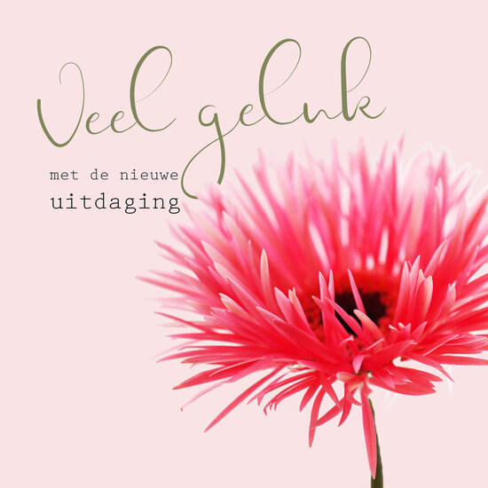 wenskaart - veel geluk met de nieuwe uitdaging - bloem