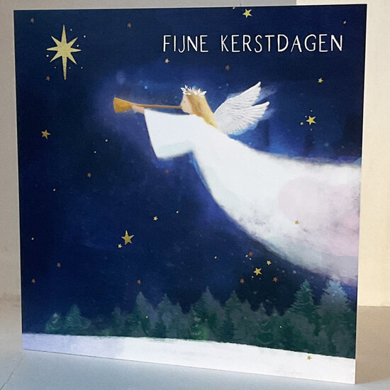 8 christelijke kerstkaarten voor amnesty international - fijne kerstdagen - engel | muller wenskaarten