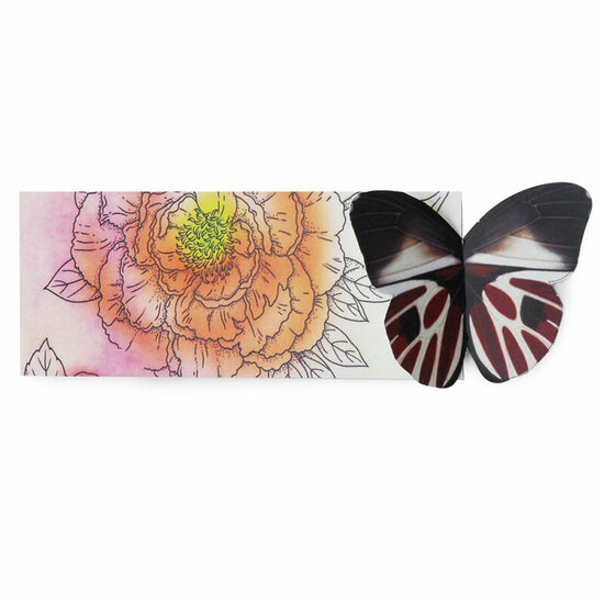 3d vlinder boekenlegger - bruin | mullerwenskaarten