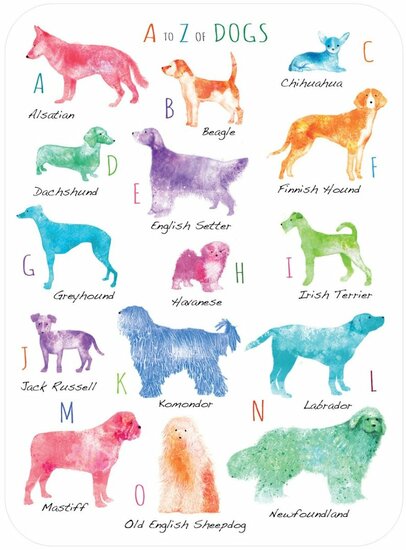 luxe wenskaart santoro eclectic cards - A To Z Of Dogs