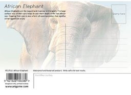 3d ansichtkaart - lenticulaire kaart - olifant