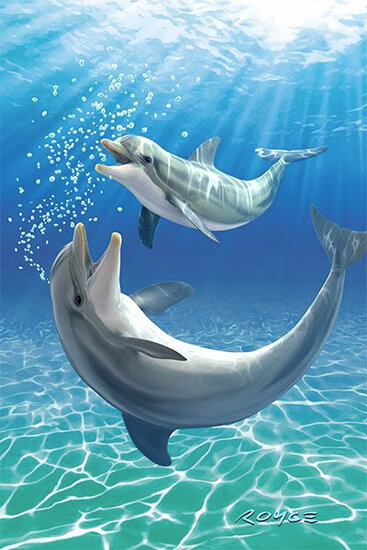 3d ansichtkaart - lenticulaire kaart - dolfijnen