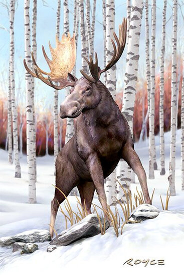 3d ansichtkaart - lenticulaire kaart - wolf eland|Muller wenskaarten