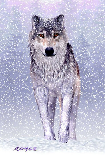 3d ansichtkaart - lenticulaire kaart - wolf eland