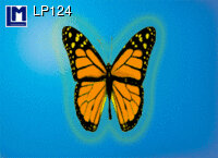 3d ansichtkaart - lenticulaire kaart - vlinder