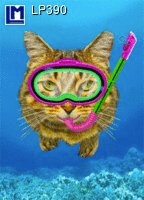 3d ansichtkaart - lenticulaire kaart - Duikende kat