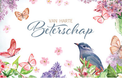 beterschapskaart - van harte beterschap - vlinders en vogel | muller wenskaarten