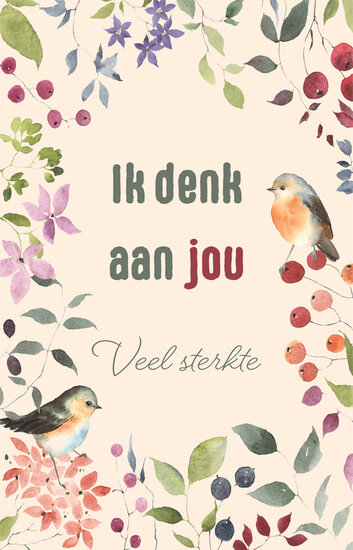 wenskaart - ik denk aan jou veel sterkte - roodborstje| muller wenskaarten
