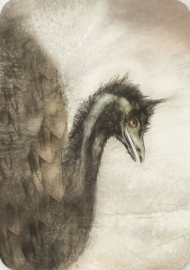 ansichtkaart van jenny bakker - emoe vogel | muller wenskaarten