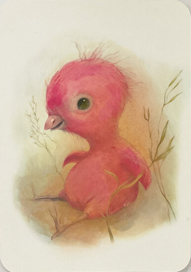 ansichtkaart van jenny bakker - kuikentje | muller wenskaarten