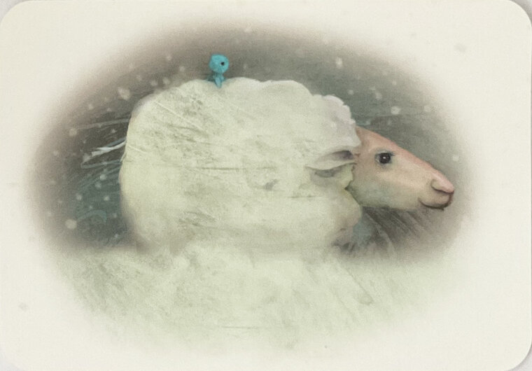 ansichtkaart van jenny bakker - schaap en vogeltje in de sneeuw | muller wenskaarten