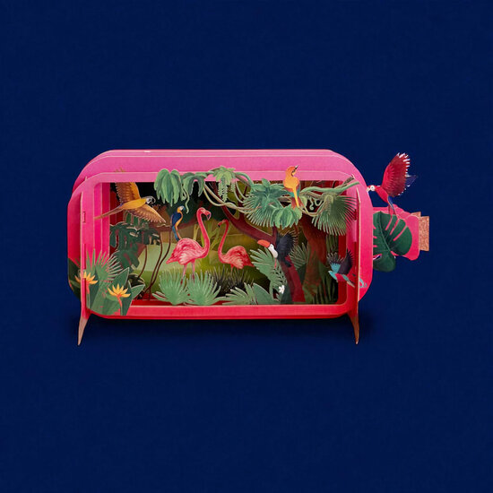 3D pop up wenskaart  - message in a bottle - vogels in de jungle