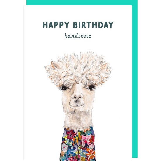 verjaardagskaart rosie made a thing - tipp top - happy birthday handsome - lama | Muller wenskaarten