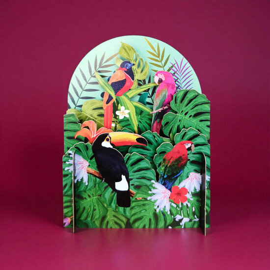 3d pop-up kaart miniature pop-up - jungle papegaai vogels | muller wenskaarten