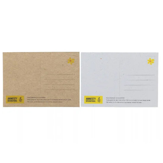 8 plantbare kerstkaarten en nieuwjaars ansichtkaarten voor amnesty international 