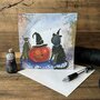 halloween kaart alex clark - kat als heks, bezem, pompoen | mullerwenskaarten