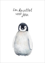 wenskaart christa mulder - een knuffel voor jou - pinguin
