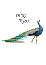 wenskaart christa mulder - trots op jou - pauw