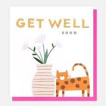 beterschapskaart caroline gardner - get well soon - kat en bloemen