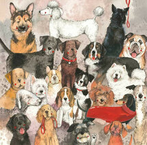 wenskaart alex clark - honden