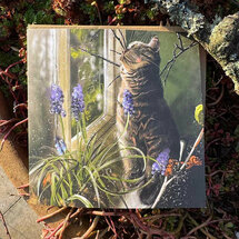 wenskaart alex clark - kat en blauwe druifjes