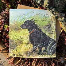 wenskaart alex clark - zwarte hond
