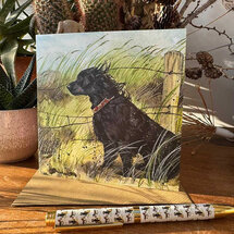 wenskaart alex clark - zwarte hond