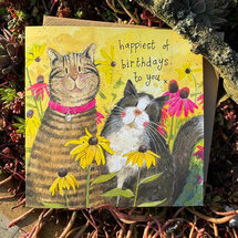 verjaardagskaart alex clark - happiest of birthdays to you - katten