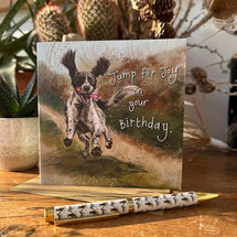 verjaardagskaart alex clark - jump for joy on your birthday - hond