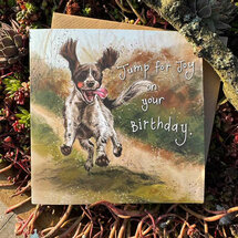 verjaardagskaart alex clark - jump for joy on your birthday - hond