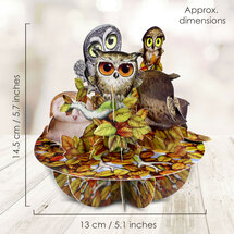 3D kaart - pirouettes cards - uilen
