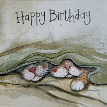 verjaardagskaart alex clark - happy birthday - verstopte katten