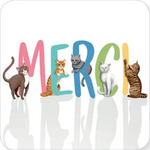 vierkante ansichtkaart met envelop Rosie Hilyer - merci - katten