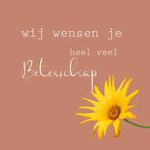 beterschapskaart - wij wensen je heel veel beterschap - bloem