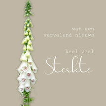 wenskaart - wat een vervelend nieuws heel veel sterkte