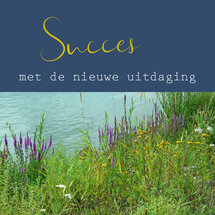 wenskaart - succes met de nieuwe uitdaging - oever