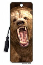 lenticulaire, 3d boekenlegger - beer