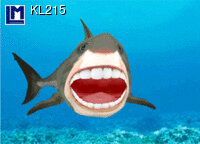 3d ansichtkaart - lenticulaire kaart - haai