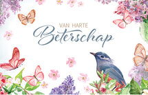 beterschapskaart - van harte beterschap - vlinders en vogel