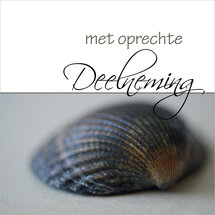 condoleancekaart - met oprechte deelneming - schelp