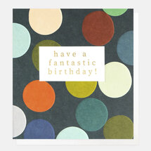 verjaardagskaart caroline gardner - have a fantastic birthday - gekleurde stippen