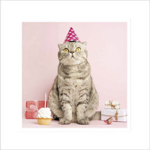 verjaardagskaart woodmansterne -  jarige kat