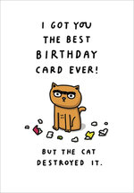 verjaardagskaart woodmansterne - the cat destroyed it