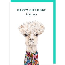 verjaardagskaart rosie made a thing - tipp top - happy birthday handsome - lama
