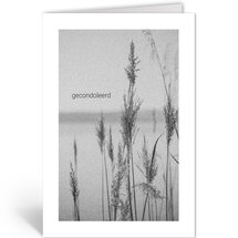 condoleancekaart - gecondoleerd - riet