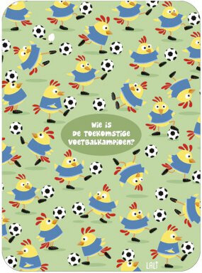 ansichtkaart - lali - zoekplaatje - wie is toekomstig voetbalkampioen