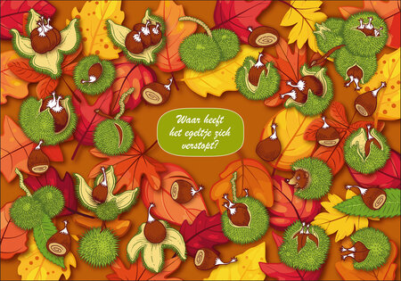 zoekopdracht - ansichtkaart  -  waar heeft het egeltje zich verstopt? - kastanjes