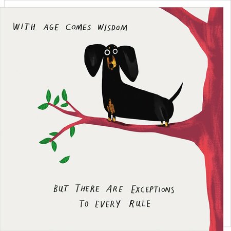 wenskaart dog days - with age comes wisdom