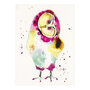 santoro eclectic cards - uil