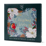 12 kerstkaarten noel tatt - merry christmas and a happy new year - roodborstje